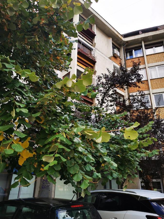 Appartamento T&A Paraćin Esterno foto